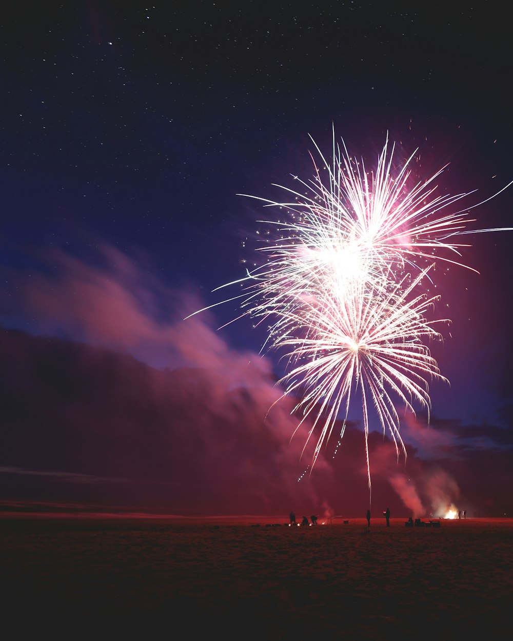 persone che sparano fuochi d'artificio sulla baia durante la notte