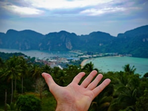 A hand is extended in the foreground, with a tropical landscape featuring lush green palm trees, a body of water, and mountainous terrain in the background under a cloudy sky.