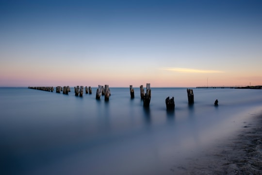 photo of Clifton Springs Shore near Bells Beach VIC