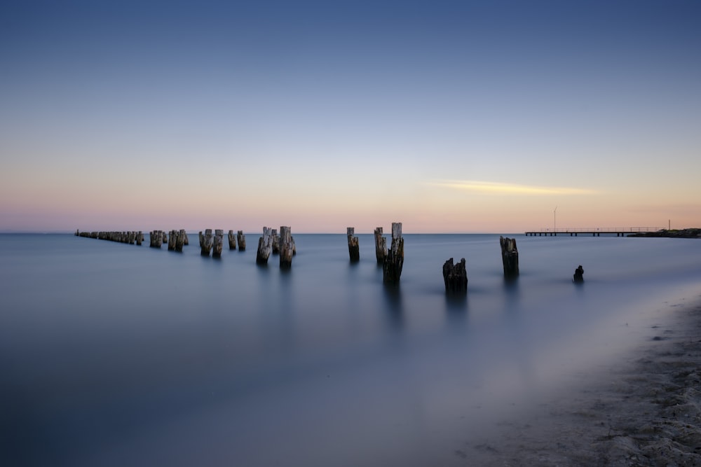 calm sea with brown post lot at daytime