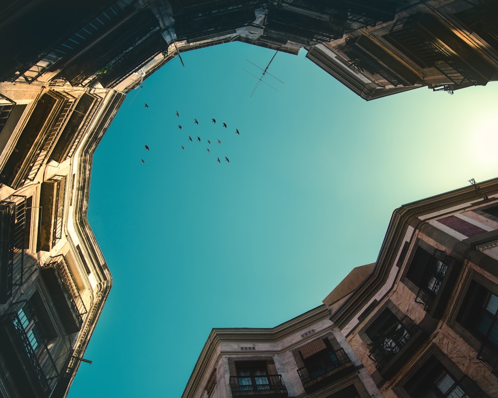 low angle photo of brown concrete buildings