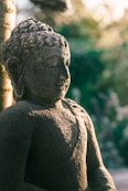 Vairagya Yogashala