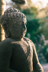 Vairagya Yogashala