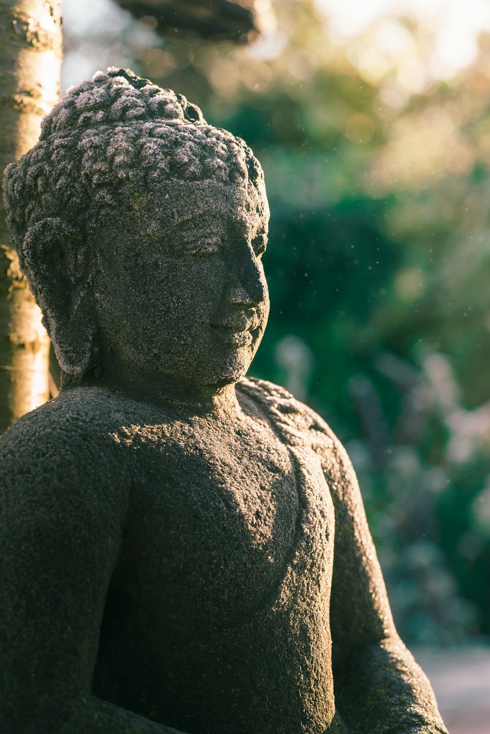 fotografía de enfoque superficial de Gautama