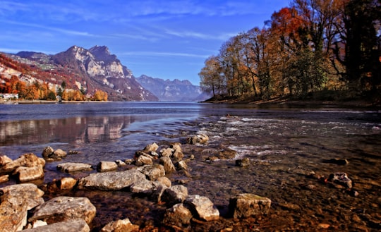 rock in Weesen Switzerland