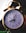 silver twin-bell alarm clock at 8:05