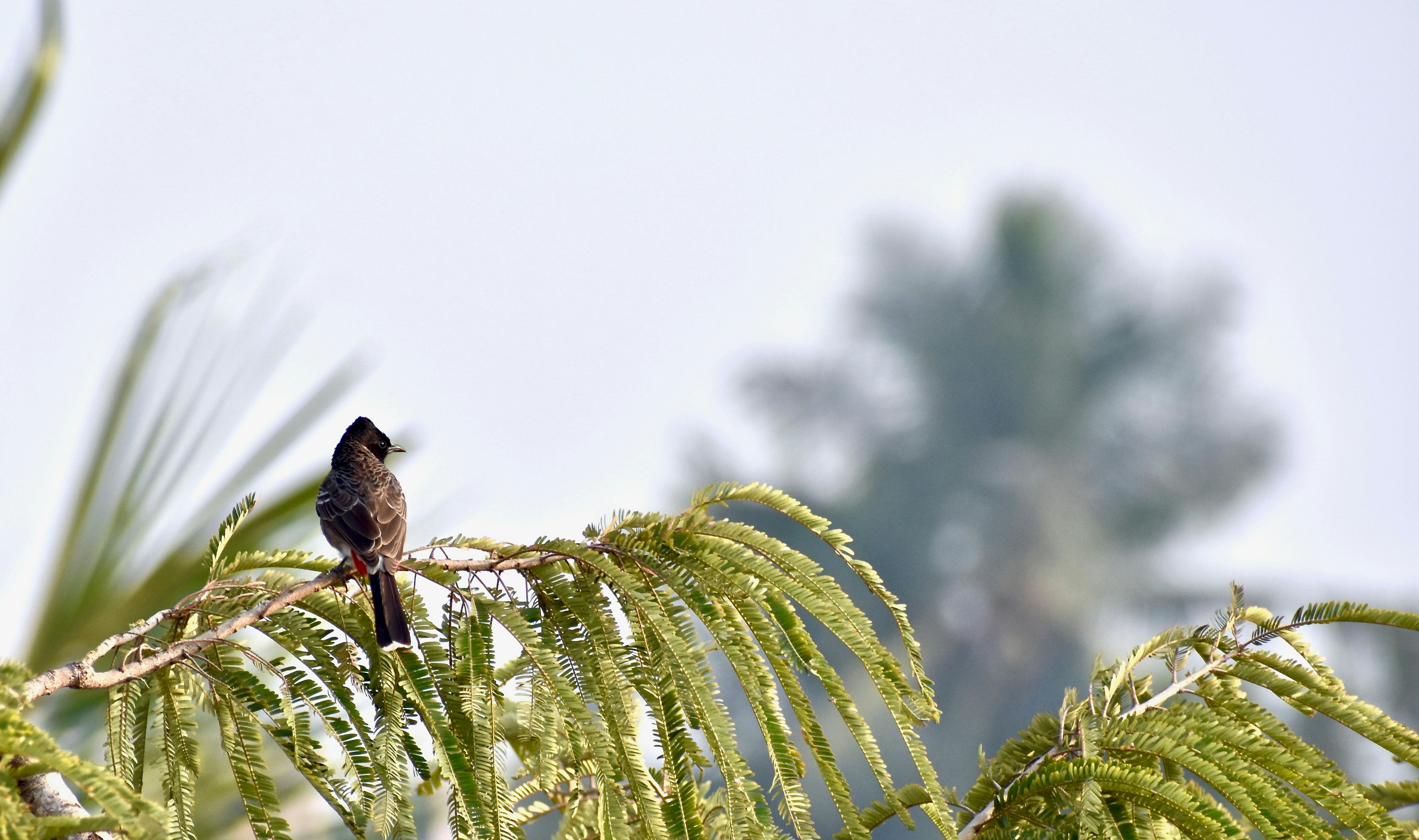 Photo by _charanveda