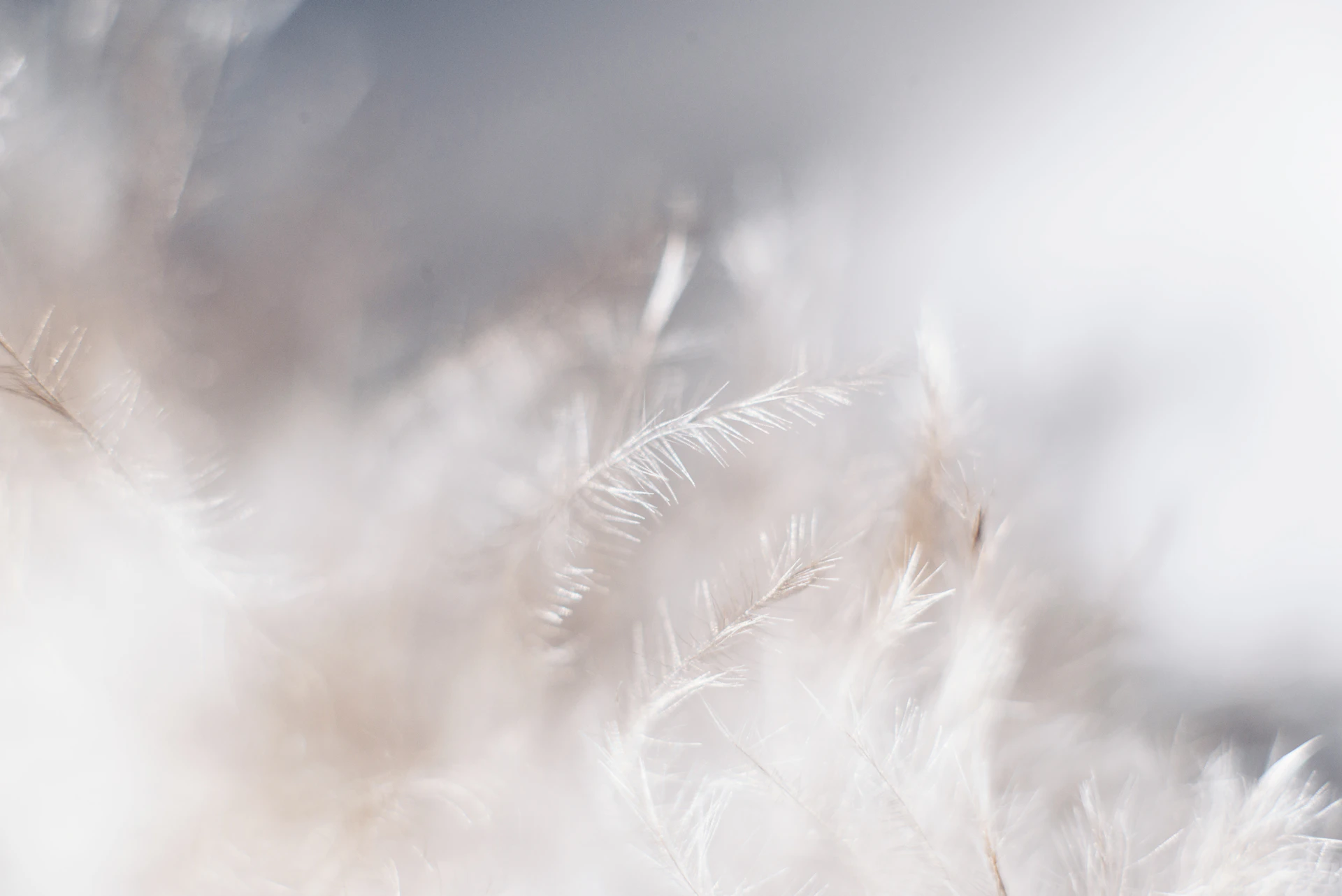 Mastering Natural Light in Portrait Photography