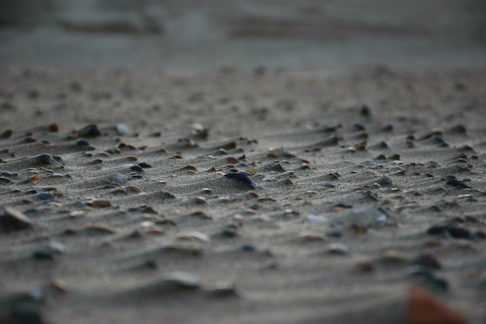 Fotografía de enfoque selectivo de piedras sobre arena