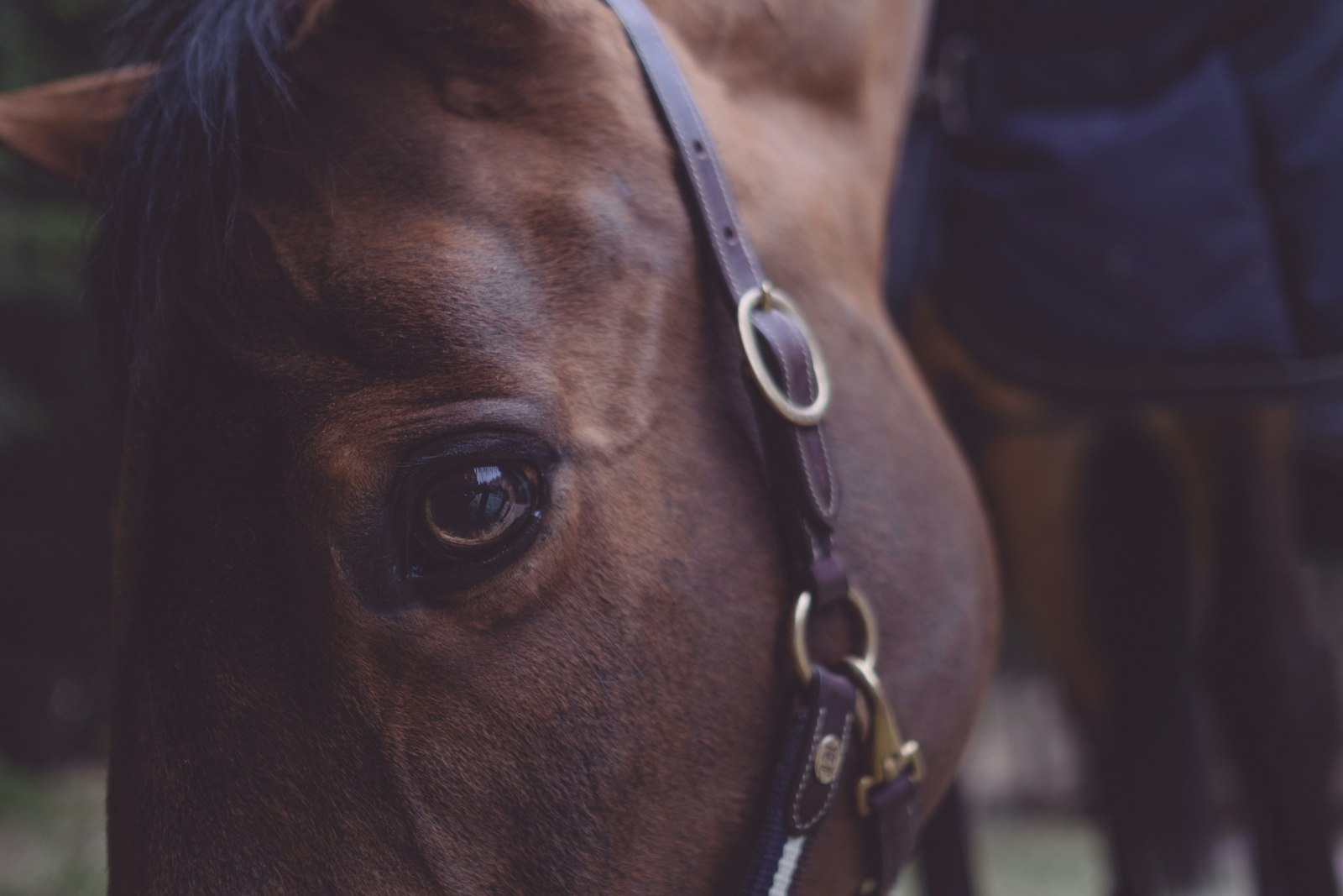 Fujifilm X-T10 + Fujifilm XF 23mm F1.4 R sample photo. Shallow focus photography of photography