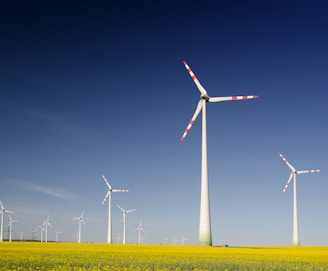 windmills on grass field at daytime