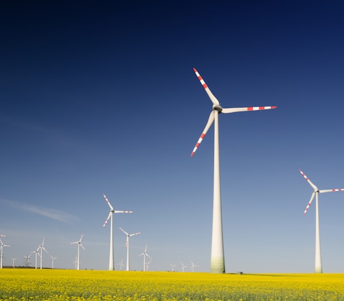 windmills on grass field at daytime