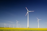 windmills on grass field at daytime