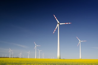Several wind turbines stand prominently in a vast field of yellow flowers, under a clear blue sky. The turbines have tall white towers and blades with red tips, evenly spaced across the landscape, capturing the sense of clean energy in nature.