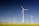 Several wind turbines stand prominently in a vast field of yellow flowers, under a clear blue sky. The turbines have tall white towers and blades with red tips, evenly spaced across the landscape, capturing the sense of clean energy in nature.