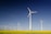 Several wind turbines stand prominently in a vast field of yellow flowers, under a clear blue sky. The turbines have tall white towers and blades with red tips, evenly spaced across the landscape, capturing the sense of clean energy in nature.