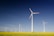 Several wind turbines stand prominently in a vast field of yellow flowers, under a clear blue sky. The turbines have tall white towers and blades with red tips, evenly spaced across the landscape, capturing the sense of clean energy in nature.