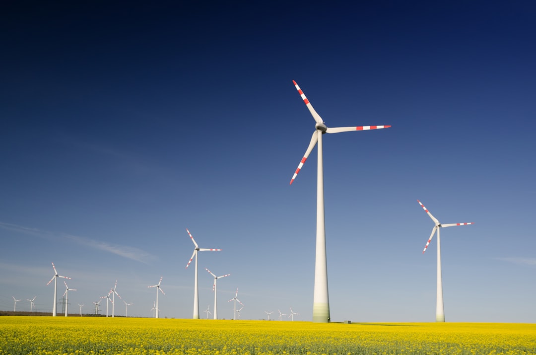 windmills on grass field at daytime, Wind turbines in the rape seed field