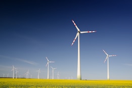 Several wind turbines stand prominently in a vast field of yellow flowers, under a clear blue sky. The turbines have tall white towers and blades with red tips, evenly spaced across the landscape, capturing the sense of clean energy in nature.