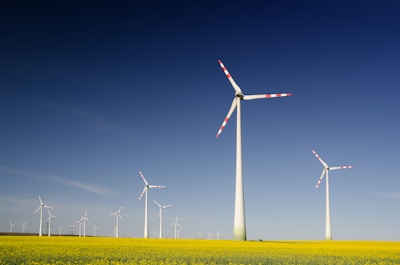 Several wind turbines stand prominently in a vast field of yellow flowers, under a clear blue sky. The turbines have tall white towers and blades with red tips, evenly spaced across the landscape, capturing the sense of clean energy in nature.
