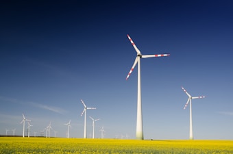 Several wind turbines stand prominently in a vast field of yellow flowers, under a clear blue sky. The turbines have tall white towers and blades with red tips, evenly spaced across the landscape, capturing the sense of clean energy in nature.