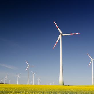 windmills on grass field at daytime