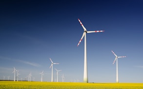 windmills on grass field at daytime