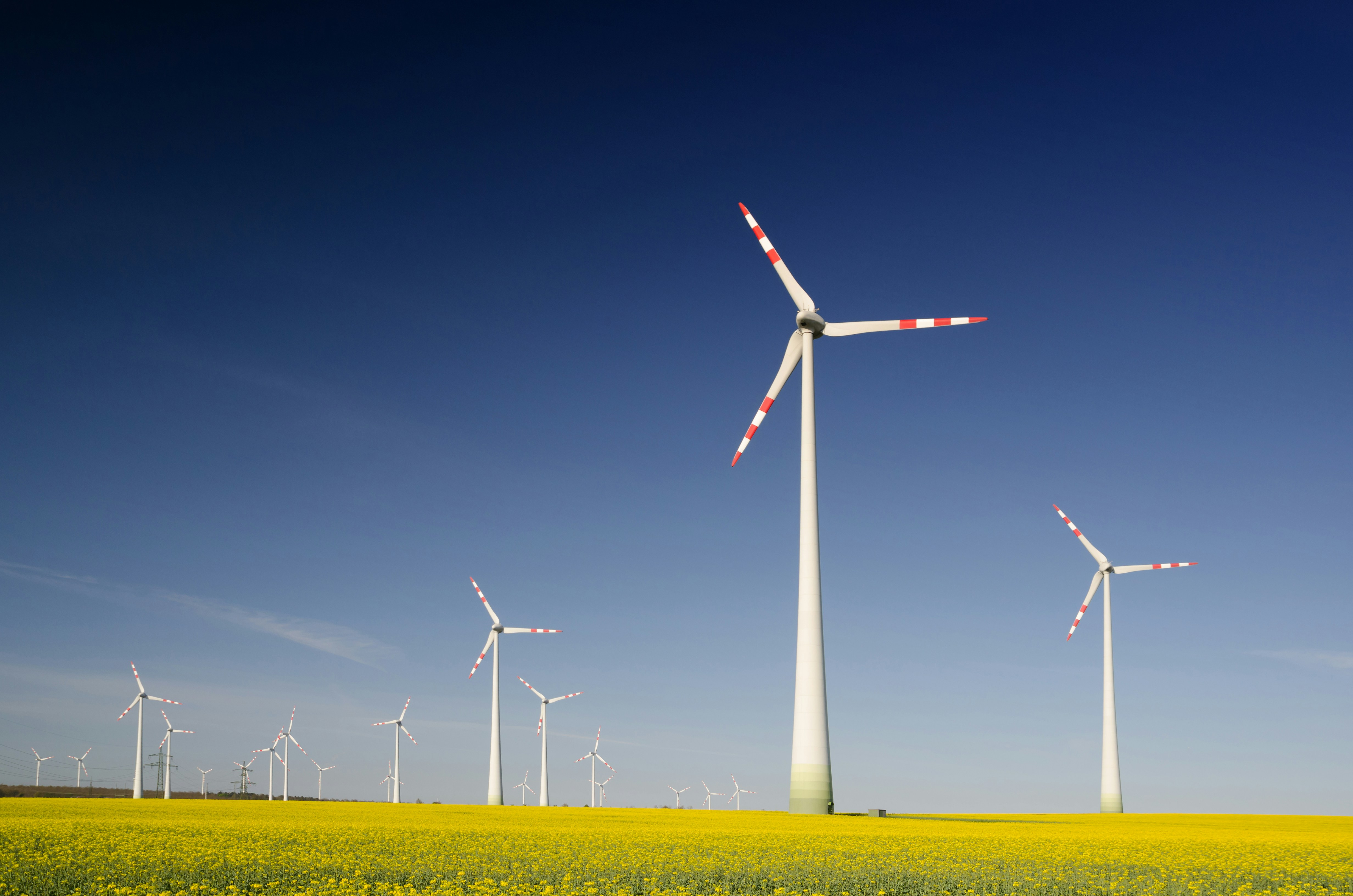 &quot;Wind turbines in the rape seed field&quot;