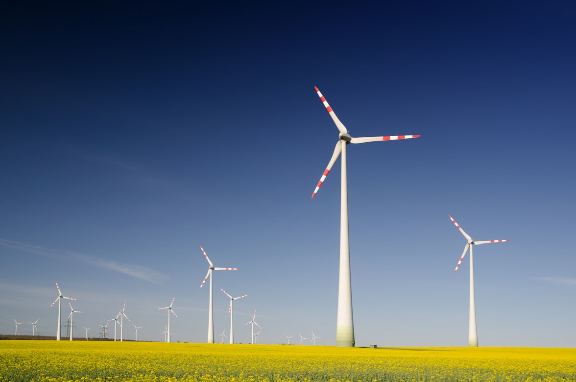 Wind Turbines, Wine Energy, Solutions for Reducing the Environmental Impact of Energy Production