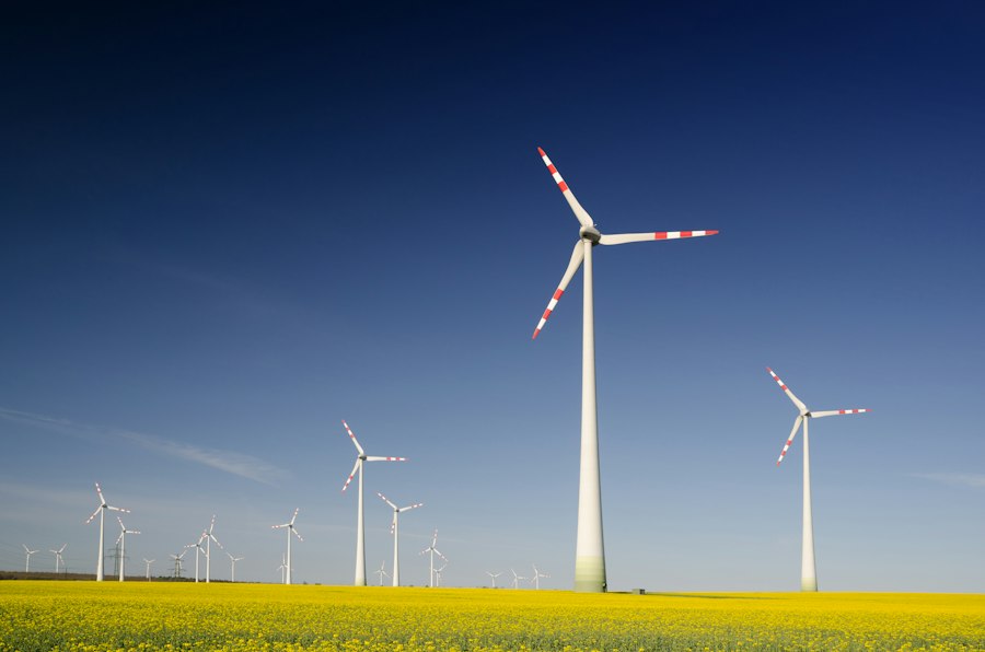 Sustainable green corporate building
