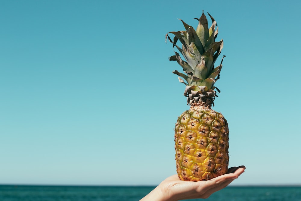 Photographie à mise au point superficielle de l’ananas