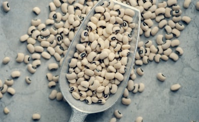 white beans on gray scraper