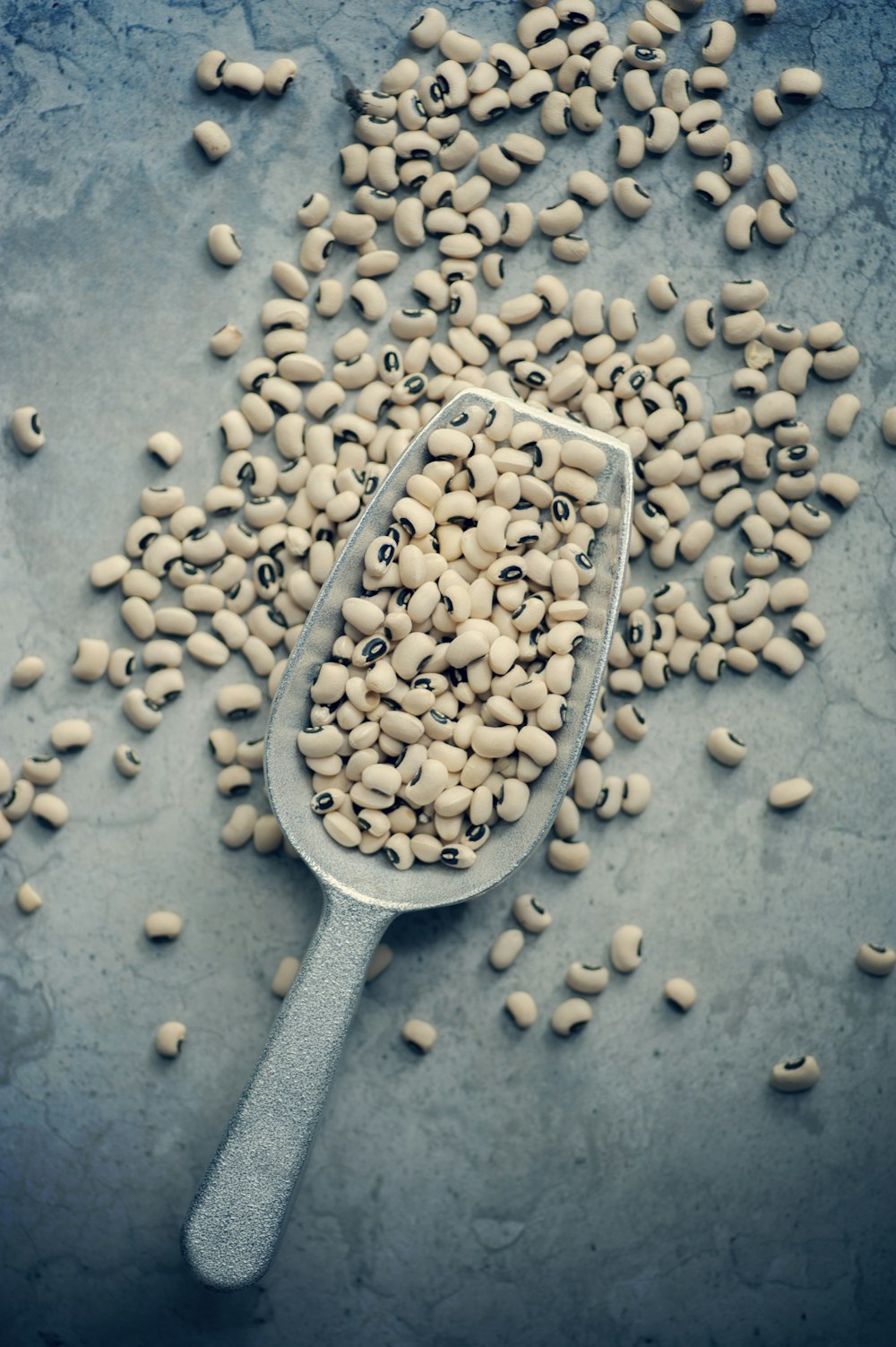 white beans on gray scraper