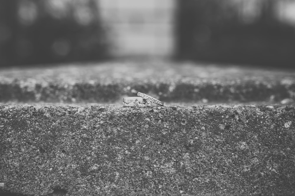 grayscale photography of couple rings