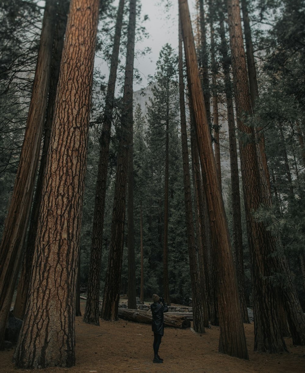 person using binoculars standing near trees