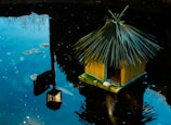 A serene pond with a small, thatched-roof structure floating on the water, surrounded by clear reflections of the sky and surrounding trees. Beneath the surface, koi fish swim gracefully, adding life to the tranquil scene.