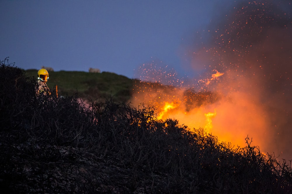 dried twigs on fire