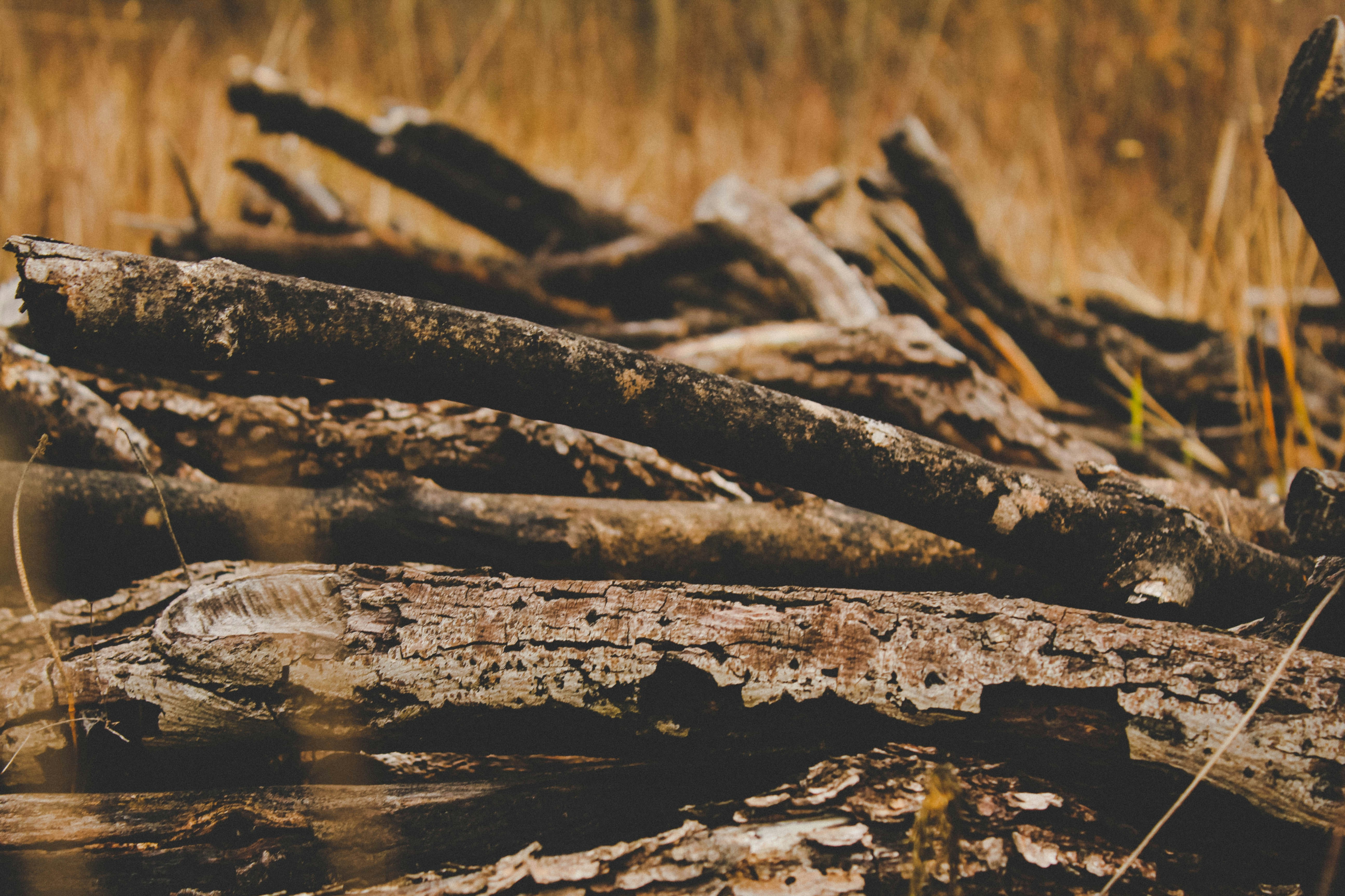 Photo by manuelsardo