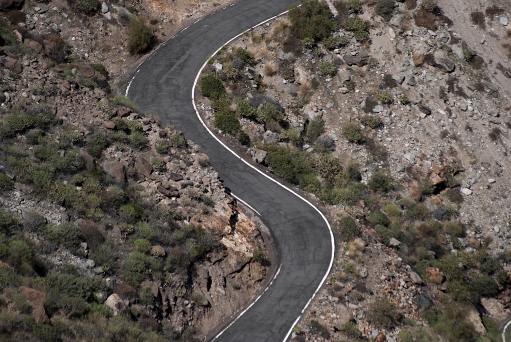 top view photography of road surrounded by plants