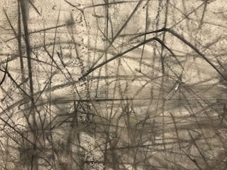 Various dark lines and smudges crisscross randomly on a light-colored background. The lines vary in thickness and direction, creating an abstract, chaotic pattern.