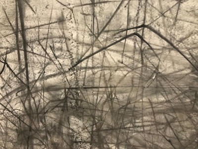 Various dark lines and smudges crisscross randomly on a light-colored background. The lines vary in thickness and direction, creating an abstract, chaotic pattern.