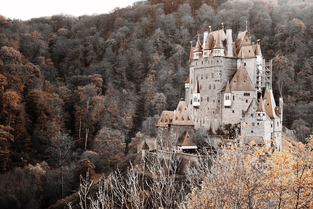 castle surrounded by trees on mountain