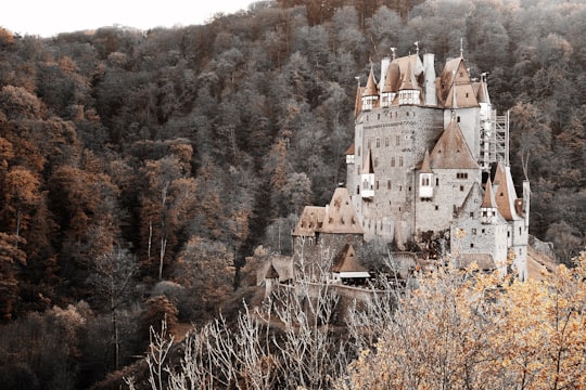 castle surrounded by trees on mountain in Eltz Castle Germany