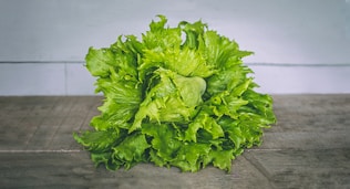 closeup photo of lettuce on gray surface