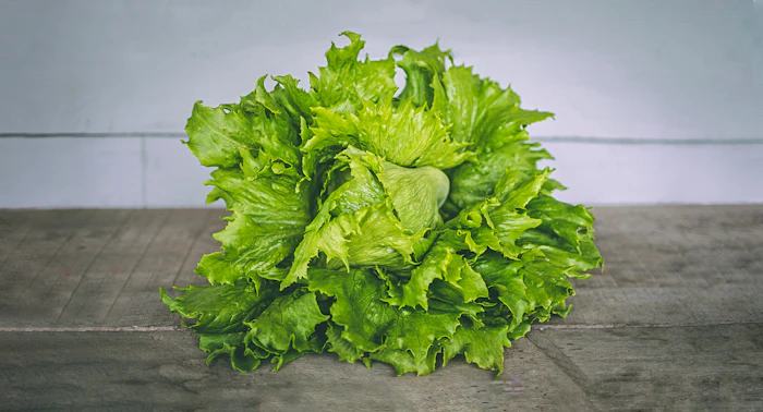 Fresh lettuce
