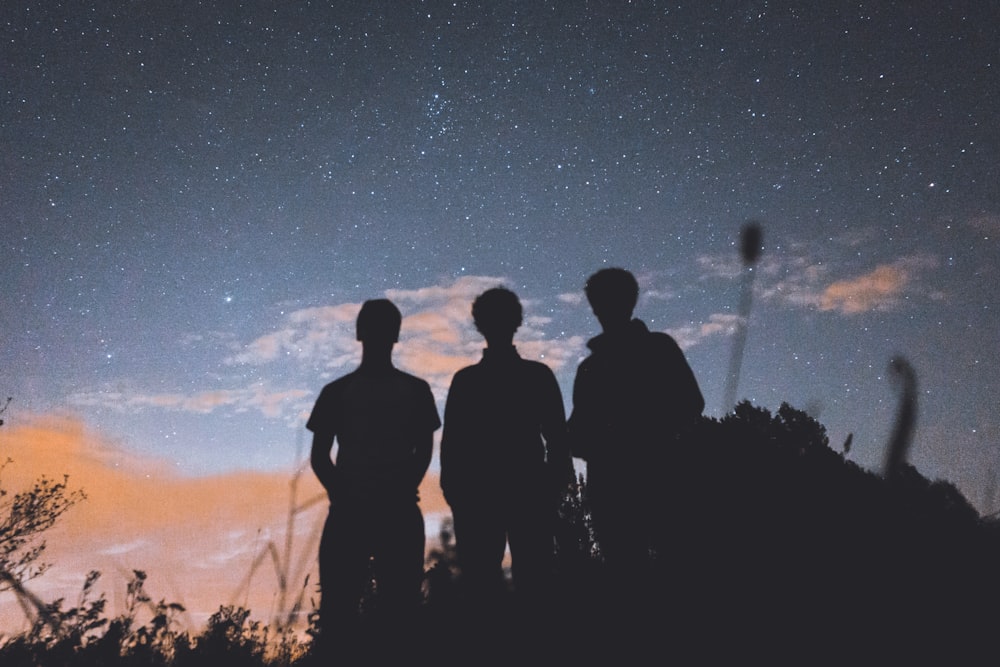 silhueta de três pessoas em pé na grama alta durante a noite