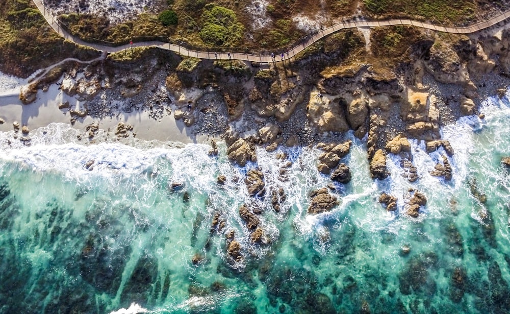 aerial photograph of seashore