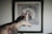 An outstretched tattooed arm reaching towards a blurred framed picture on the wall, with a focus on the intricate tattoo designs on the forearm and hand.