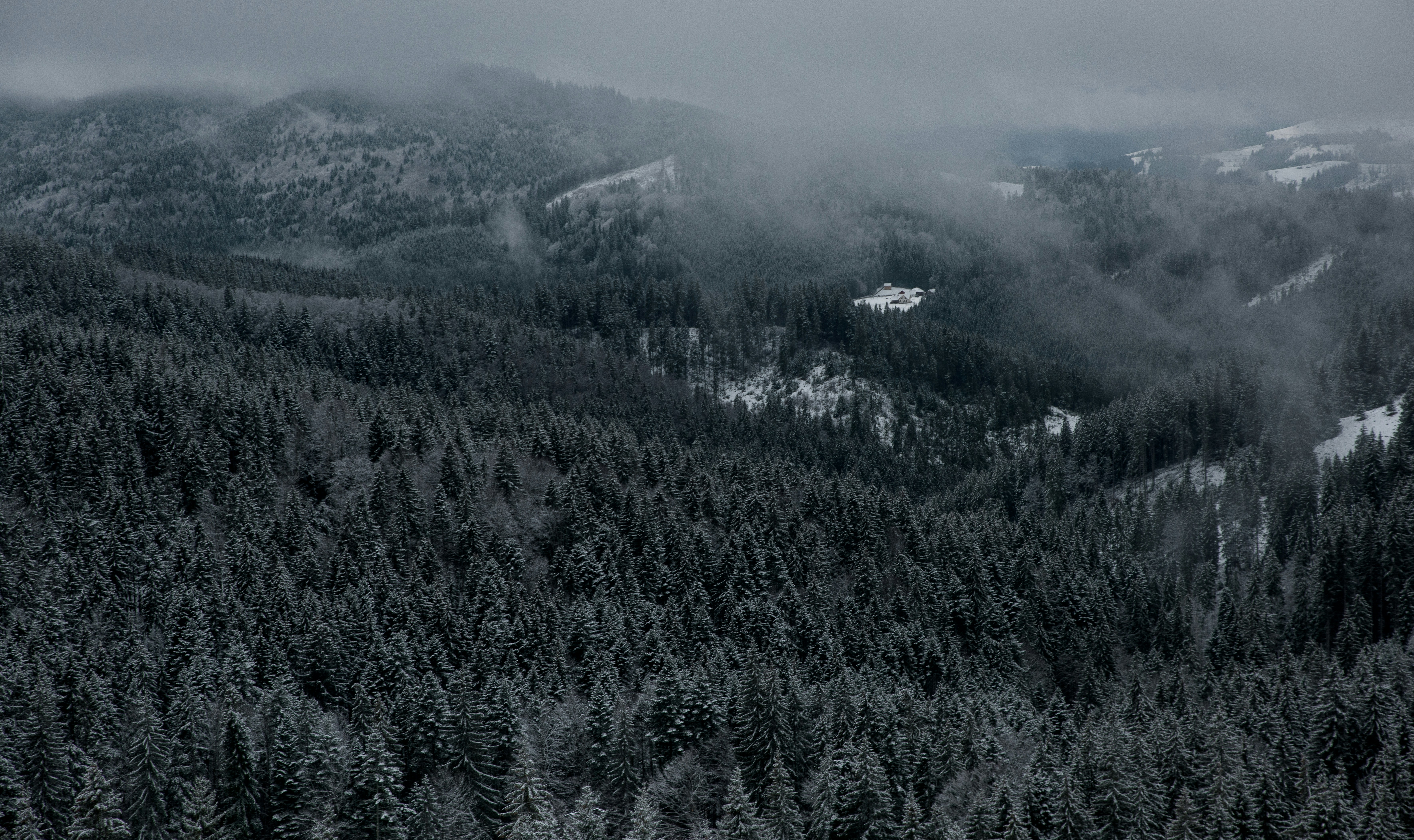 Photo by alexpadurariu