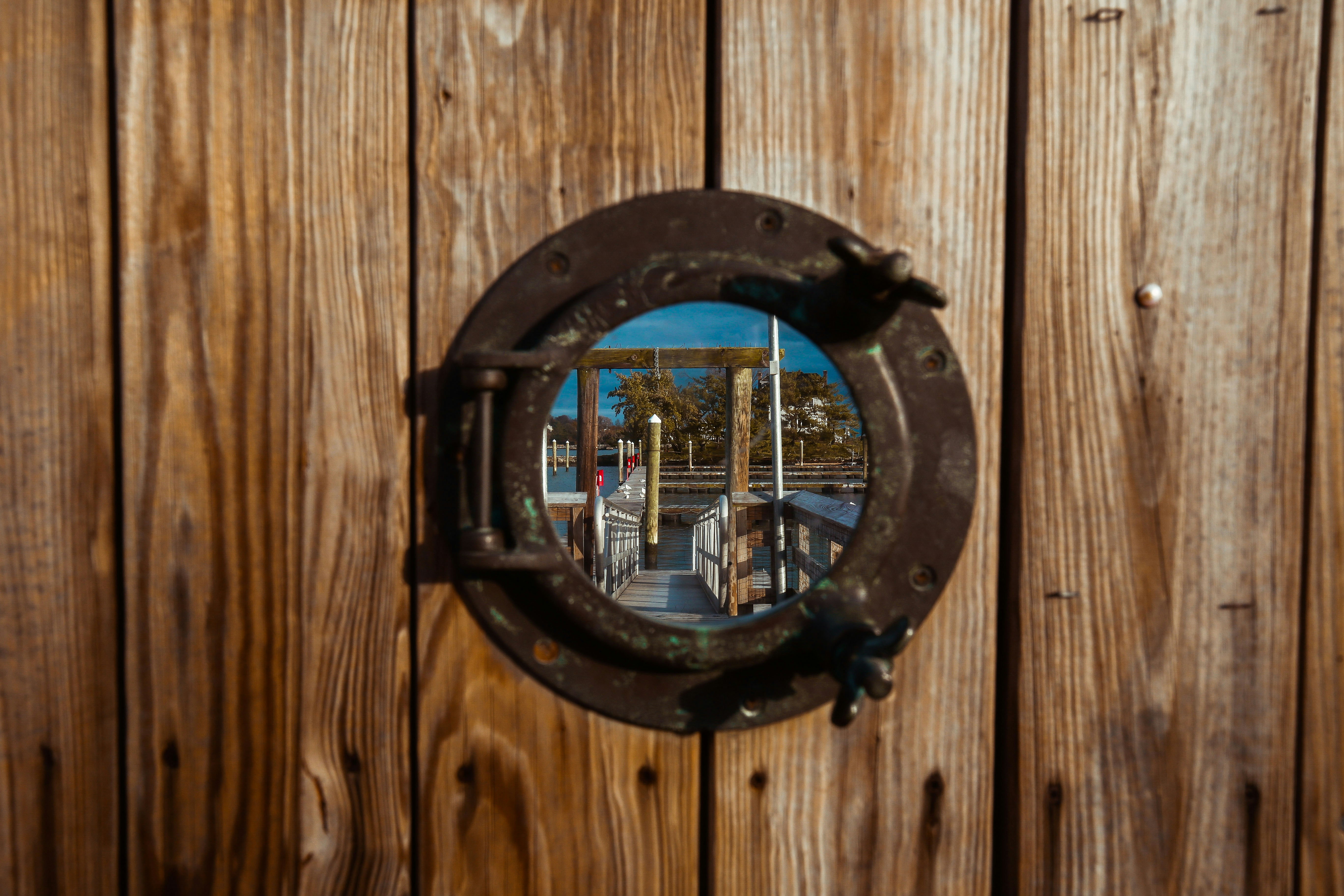 Photo by davidgaviphoto